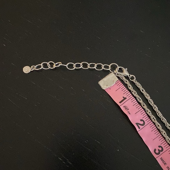 Silver Tassel Necklace - Picture 3 of 4